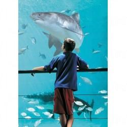 相片來源:昆士蘭旅遊局 黃金海岸